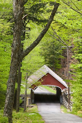 Framed Flume Covered Bridge, Pemigewasset River, Franconia Notch State Park, New Hampshire Print