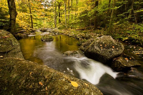 Framed Autumn stream in Grafton, New Hampshire Print