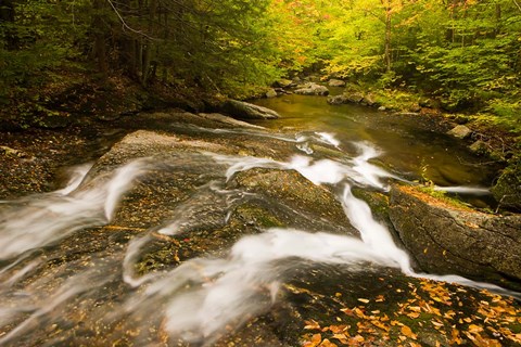 Framed Autumn stream, New Hampshire Print