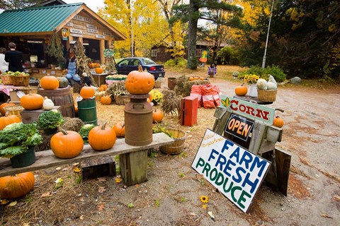 Framed Farm stand, Holderness, New Hampshire Print