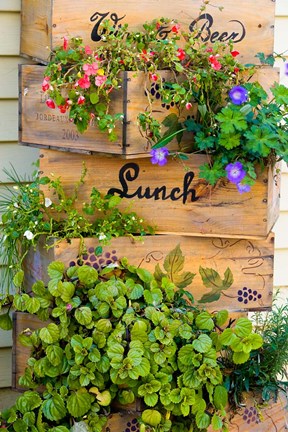 Framed Street Scene in Wolfeboro, New Hampshire Print