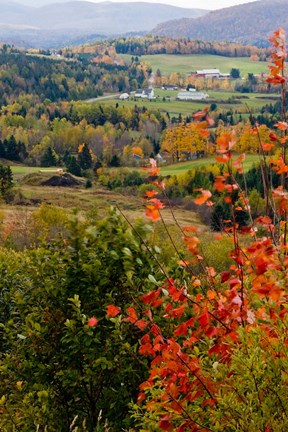 Framed View from NH Route 145 in Stewartstown, New Hampshire Print