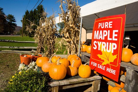 Framed Hunter&#39;s Acres Farm in Claremont, New Hampshire Print