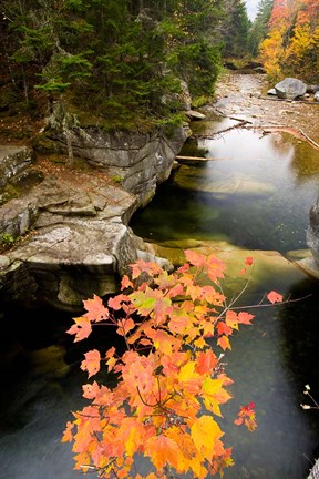 Framed Upper Falls on the Ammonoosuc River, White Mountains, New Hampshire Print