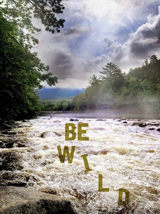 Framed Be Wild Print