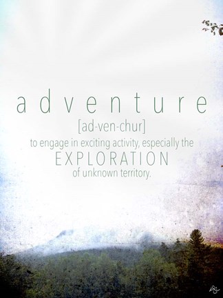 Framed Adventure Definition Print