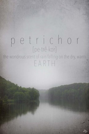 Framed Petrichor Definition Print