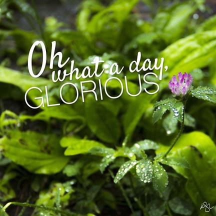 Framed Glorious Print