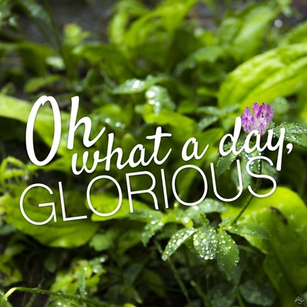 Framed Glorious Print