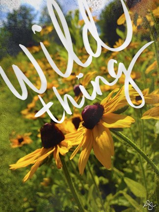 Framed Wild Thing Print