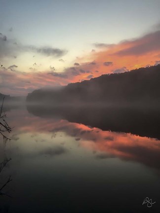Framed Mother Nature&#39;s Brush Print