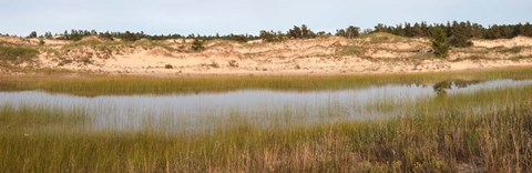 Framed Sand Dunes and Marsh, Michigan Print