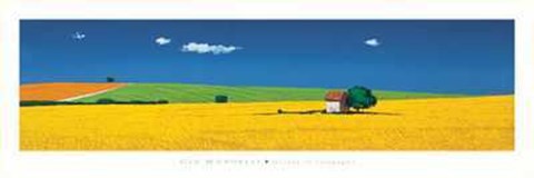 Framed Gio Mondelli - Quiete in Size 39.5x13.75 Print