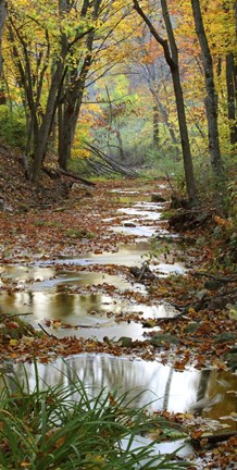 Framed Autumn at Schuster Hollow in Grant County, Wisconsin Print