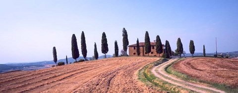 Framed Trees on a Hill, Tuscany, Italy Print