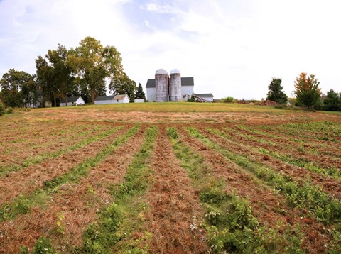 Framed Barn and Silo, Colts Neck Township, New Jersey Print