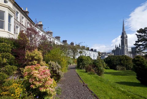 Framed St Coleman&#39;s Cathedral Beyond, County Cork, Ireland Print