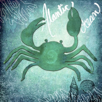 Framed Alantic Ocean Crab Print