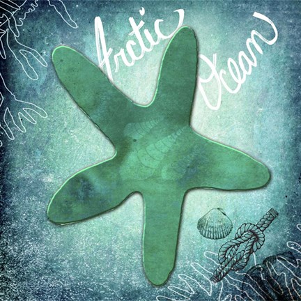 Framed Arctic Ocean Starfish Print