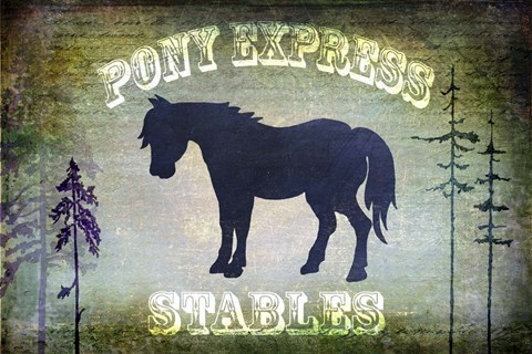 Framed Country Horse I Print