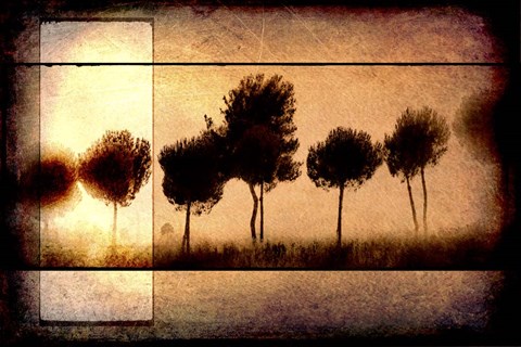 Framed For the Love of Trees I Print