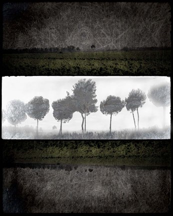 Framed Black Tree 2 Print