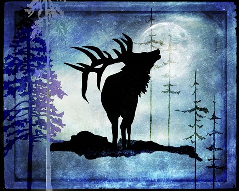 Framed Midnight Elk Print