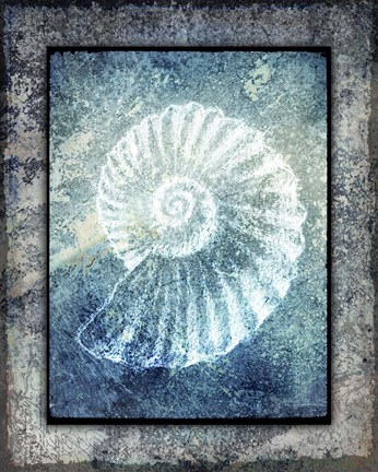 Framed Hello Beach Shell I Print