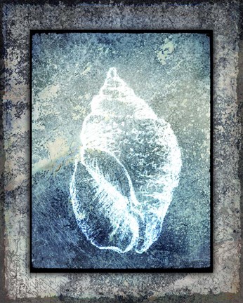 Framed Hello Beach Shell II Print