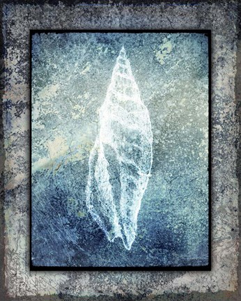 Framed Hello Beach Shell III Print