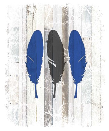 Framed Blue Moose - Feathers Print
