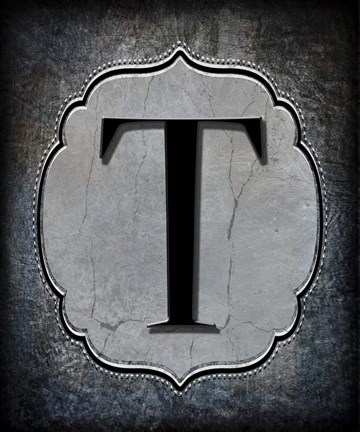 Framed Letter T Print