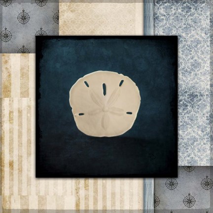 Framed Blue Sea Sand Dollar Print