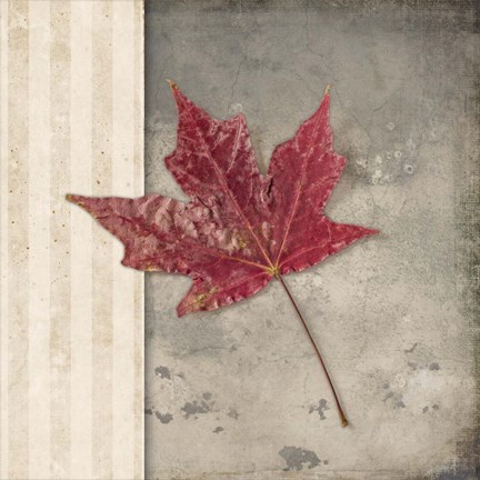 Framed Lodge Leaf 1 Print