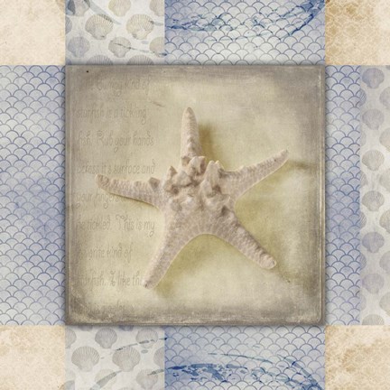Framed White Sea Bumpy Star Print