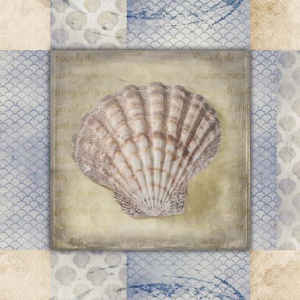 Framed White Sea Shell Print