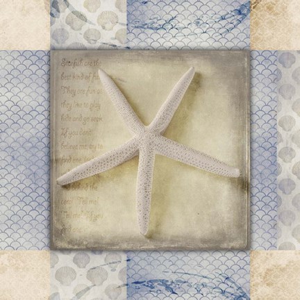 Framed White Sea Starfish Print