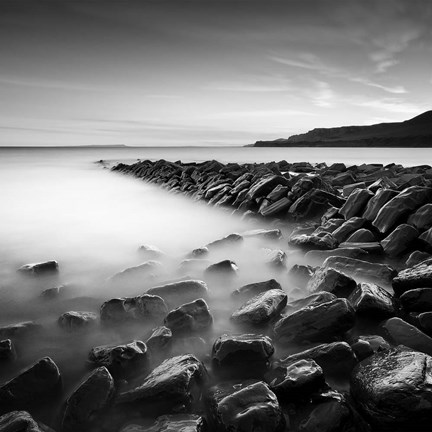 Framed Jurassic Print