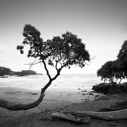 Framed Koki Beach Print