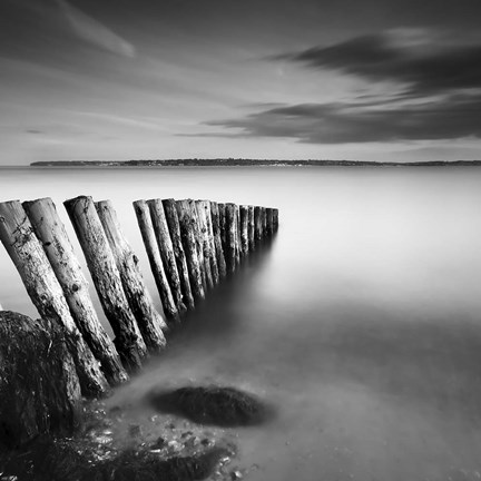 Framed Lepe Posts Print