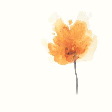 Framed Expressive Blooms IX Print