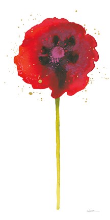 Framed Splash II with Gold Print