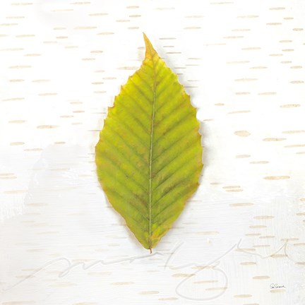 Framed Autumn Colors IV Print