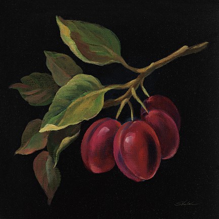 Framed Prune no Words Print