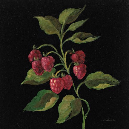 Framed Framboise no Words Print