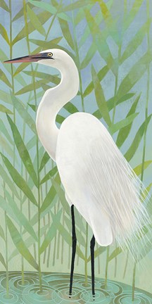 Framed Egret by the Shore II Print