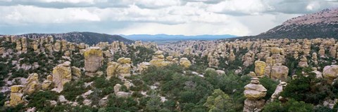 Framed Rhyolite Sculptures, Hailstone Trail, Chiricahua National Monument, Arizona Print
