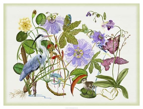 Framed Mesmerize Print