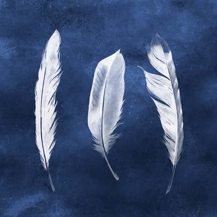 Framed Cyanotype Feathers II Print