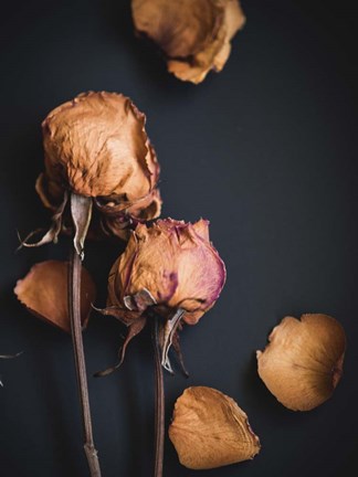 Framed Wilted Dreams I Print